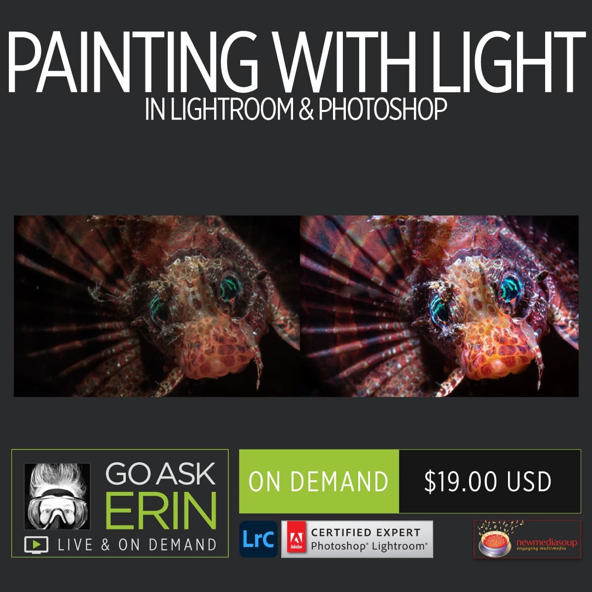 Painting with Light in Lightroom and Photoshop