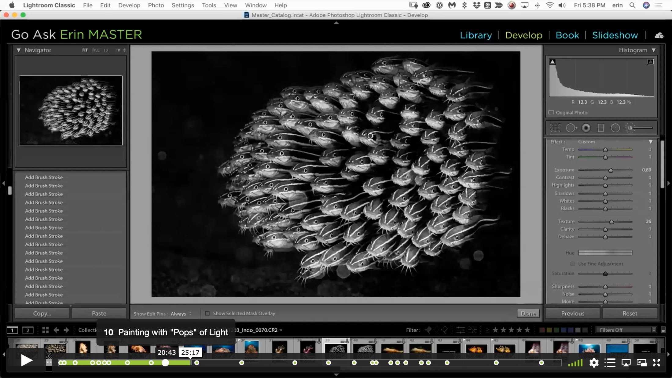 Painting with Light in Lightroom and Photoshop - Image 13