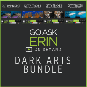Dark Arts Bundle