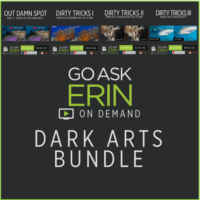 Dark Arts Bundle
