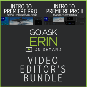 Video Editor's Bundle