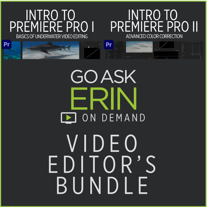 Video Editor's Bundle