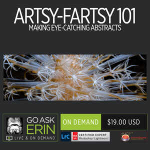 Artsy-Fartsy 101 – Making Eye-Catching Abstracts