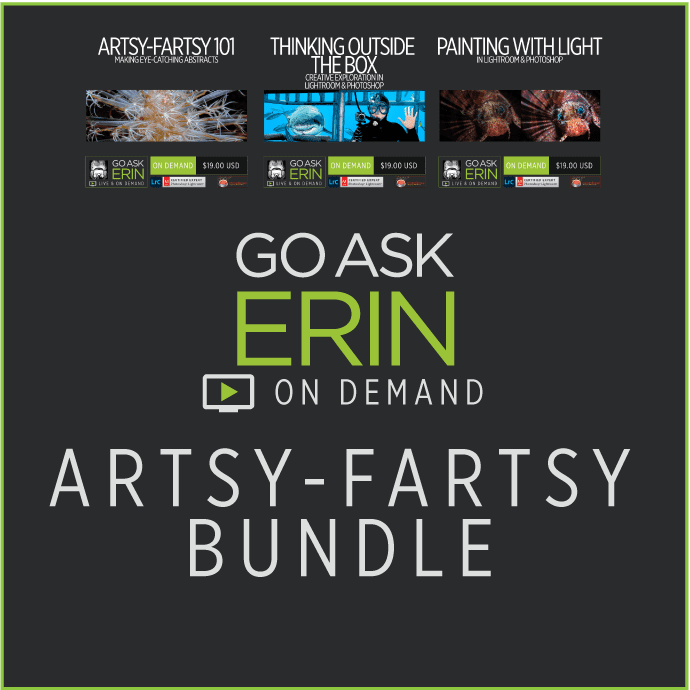 Artsy-Fartsy Bundle