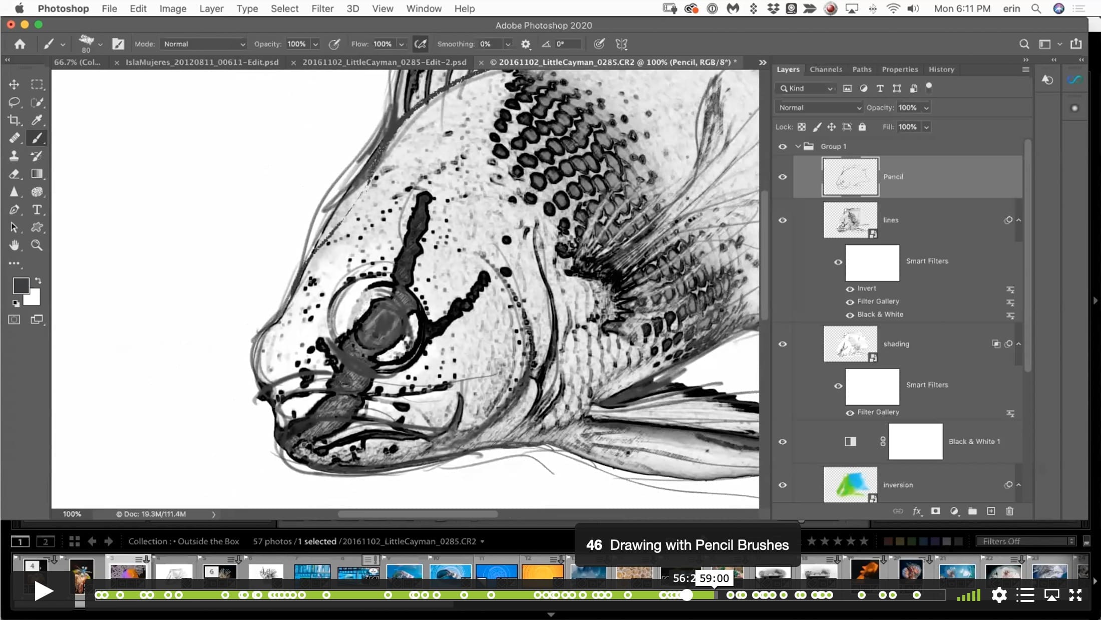 Thinking Outside the Box – Creative Exploration in Lightroom and Photoshop - Image 7