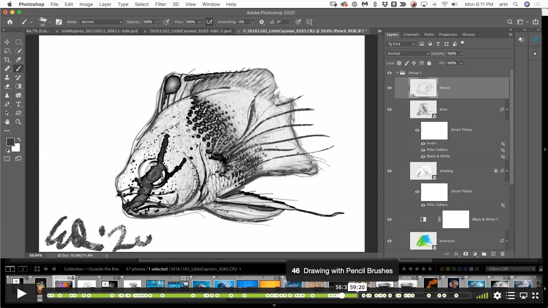 Thinking Outside the Box – Creative Exploration in Lightroom and Photoshop - Image 9