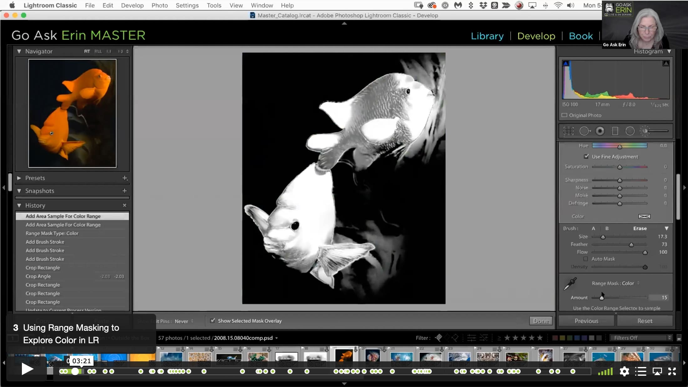 Thinking Outside the Box – Creative Exploration in Lightroom and Photoshop - Image 3