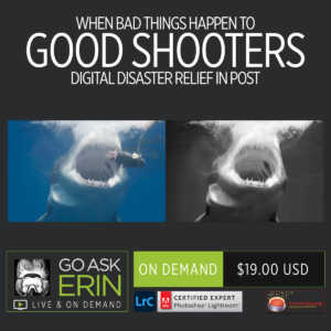 When Bad Things Happen to Good Shooters – Digital Disaster Relief in Post