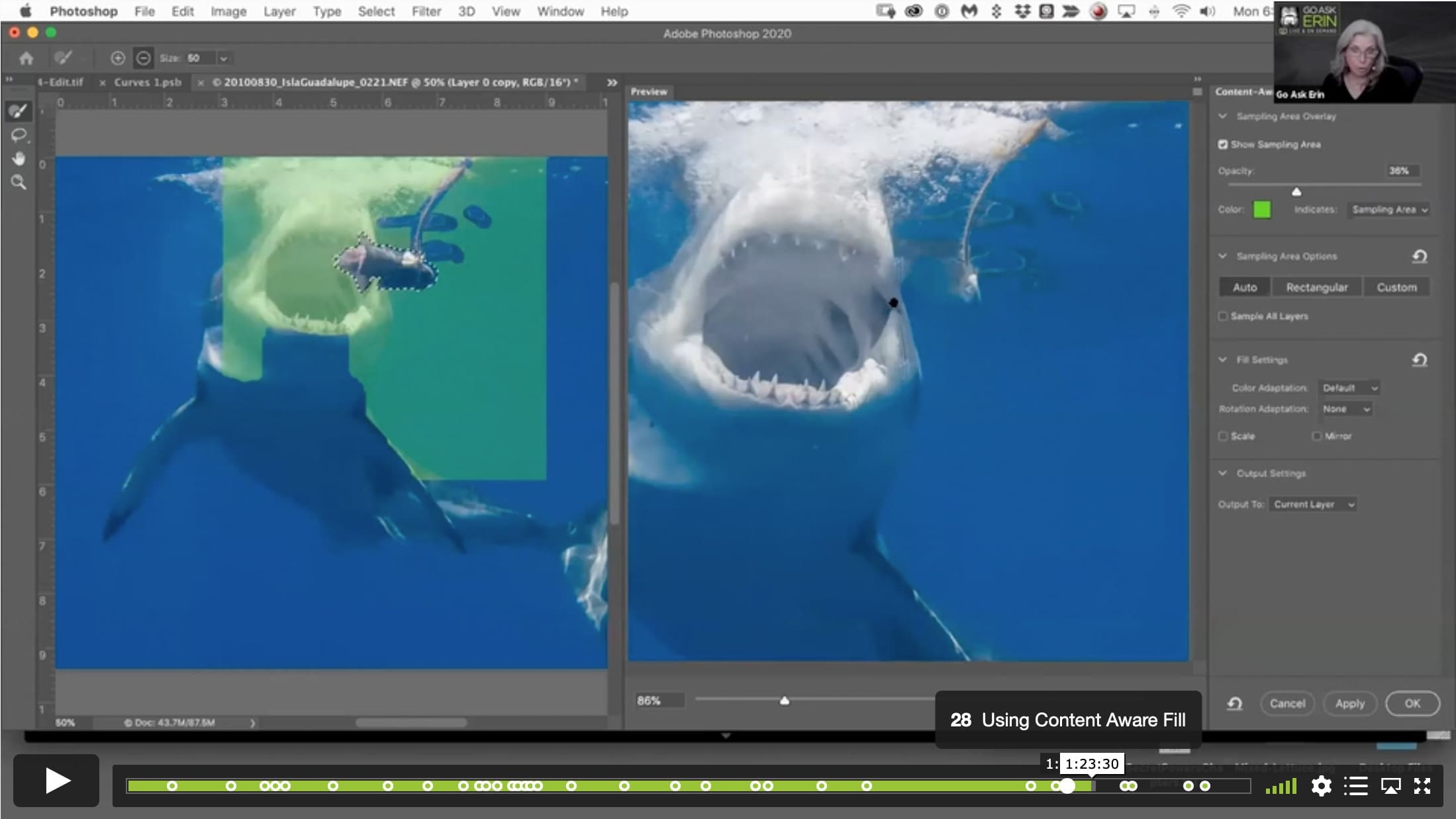 When Bad Things Happen to Good Shooters – Digital Disaster Relief in Post - Image 3