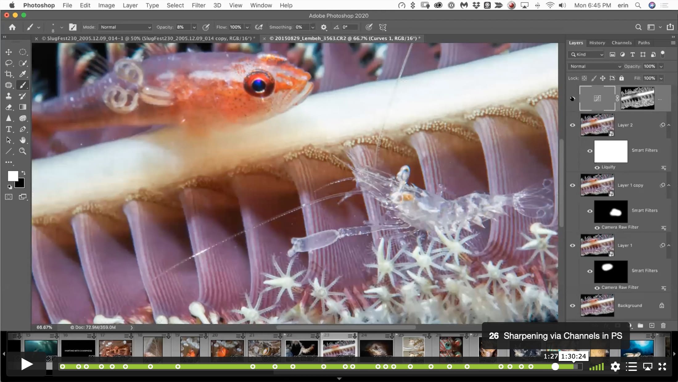 Living on the Edge – Deep Dive into Contrast and Sharpness - Image 9