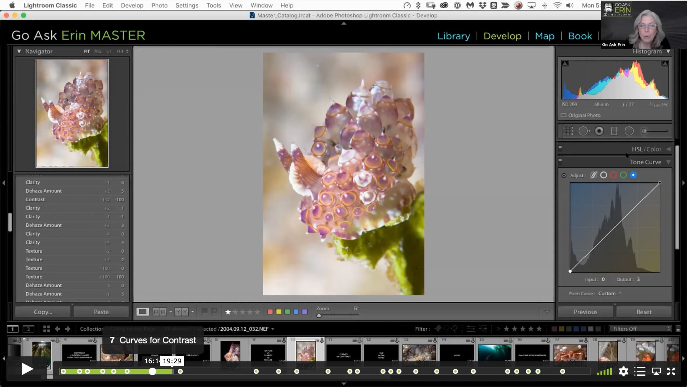 Living on the Edge – Deep Dive into Contrast and Sharpness - Image 2