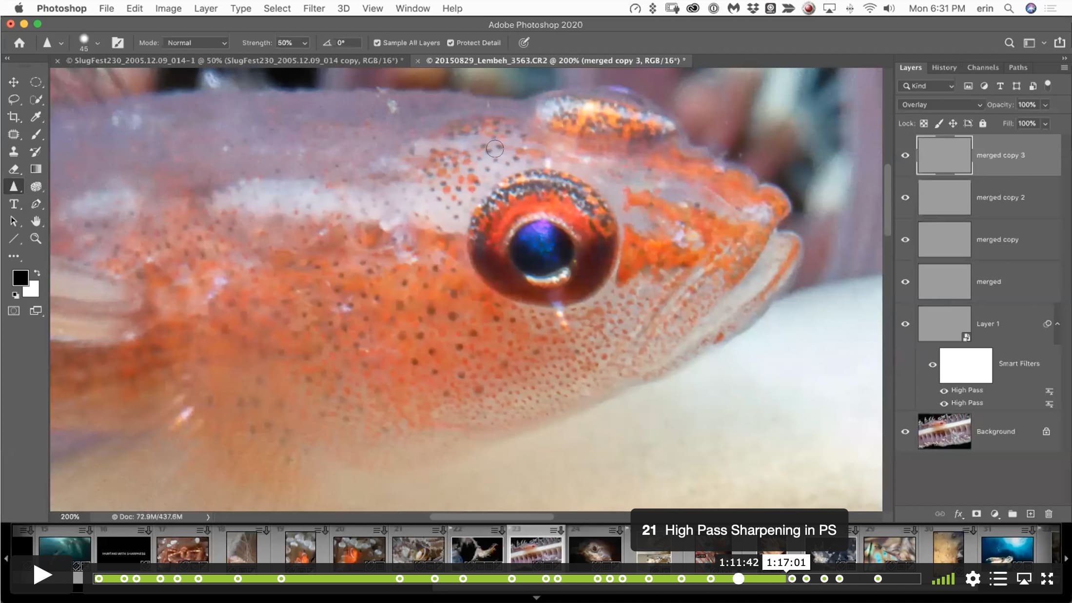 Living on the Edge – Deep Dive into Contrast and Sharpness - Image 6