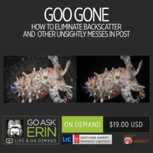 Goo Gone – How to Eliminate Backscatter and Other Unsightly Messes in Post