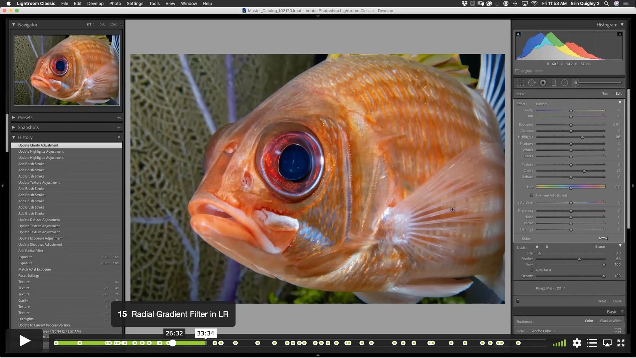 The Eyes Have It! – Techniques to Emphasize Eyes Using Sharpness, Color, and Voodoo. - Image 4