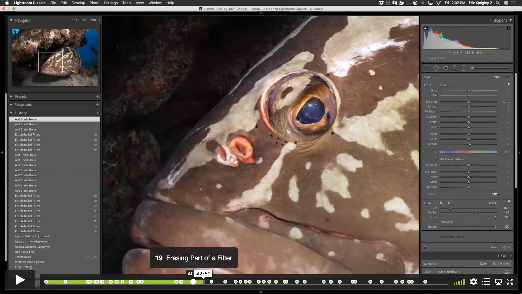The Eyes Have It! – Techniques to Emphasize Eyes Using Sharpness, Color, and Voodoo. - Image 5