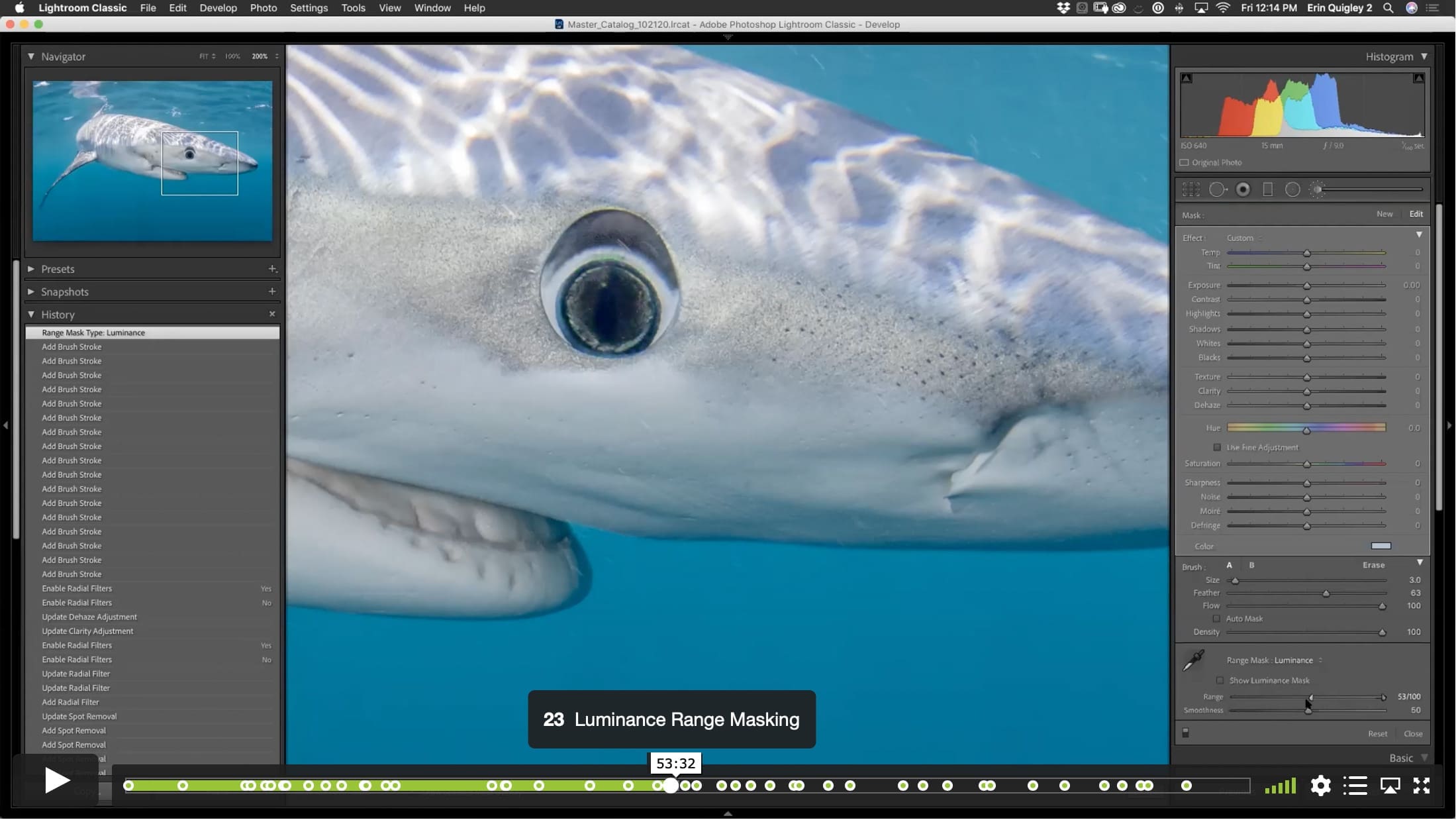 The Eyes Have It! – Techniques to Emphasize Eyes Using Sharpness, Color, and Voodoo. - Image 6