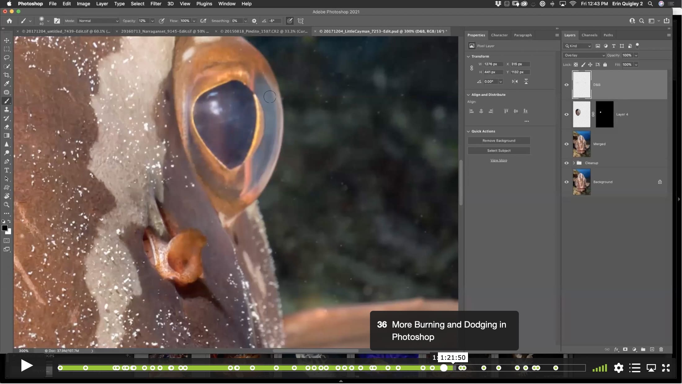 The Eyes Have It! – Techniques to Emphasize Eyes Using Sharpness, Color, and Voodoo. - Image 8