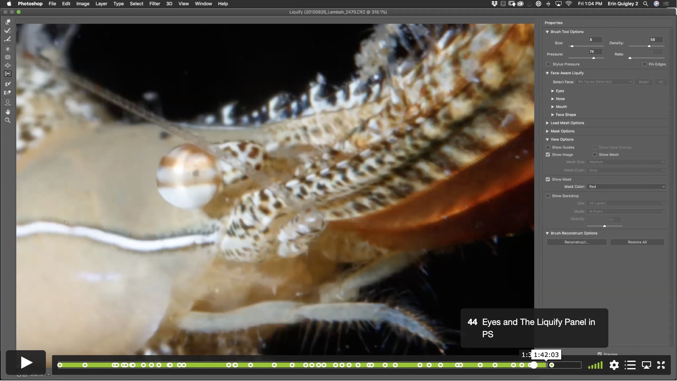 The Eyes Have It! – Techniques to Emphasize Eyes Using Sharpness, Color, and Voodoo. - Image 10