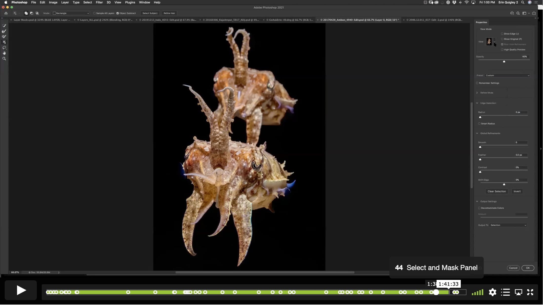 Photoshop Fear Abatement – How to Survive and Thrive in the Alien World of Photoshop - Image 9