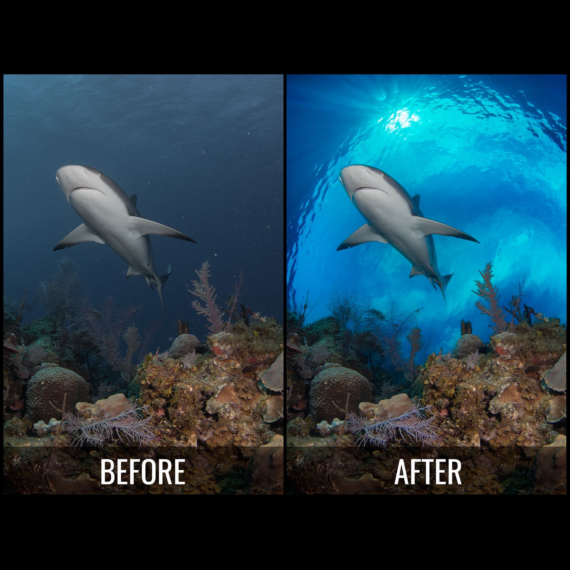 Water Replacement Starter Pack - Water Column Replacement Images for Photoshop - Image 2
