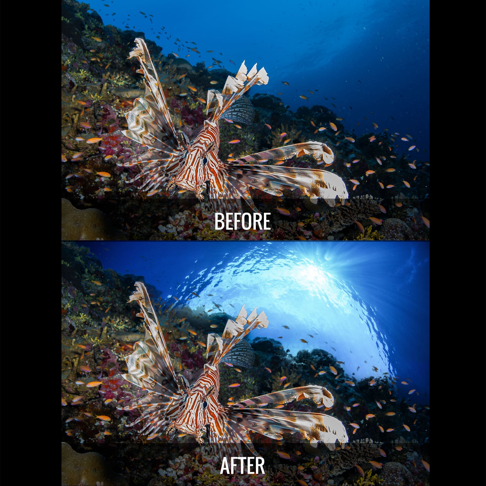 Water Replacement Starter Pack - Water Column Replacement Images for Photoshop - Image 11