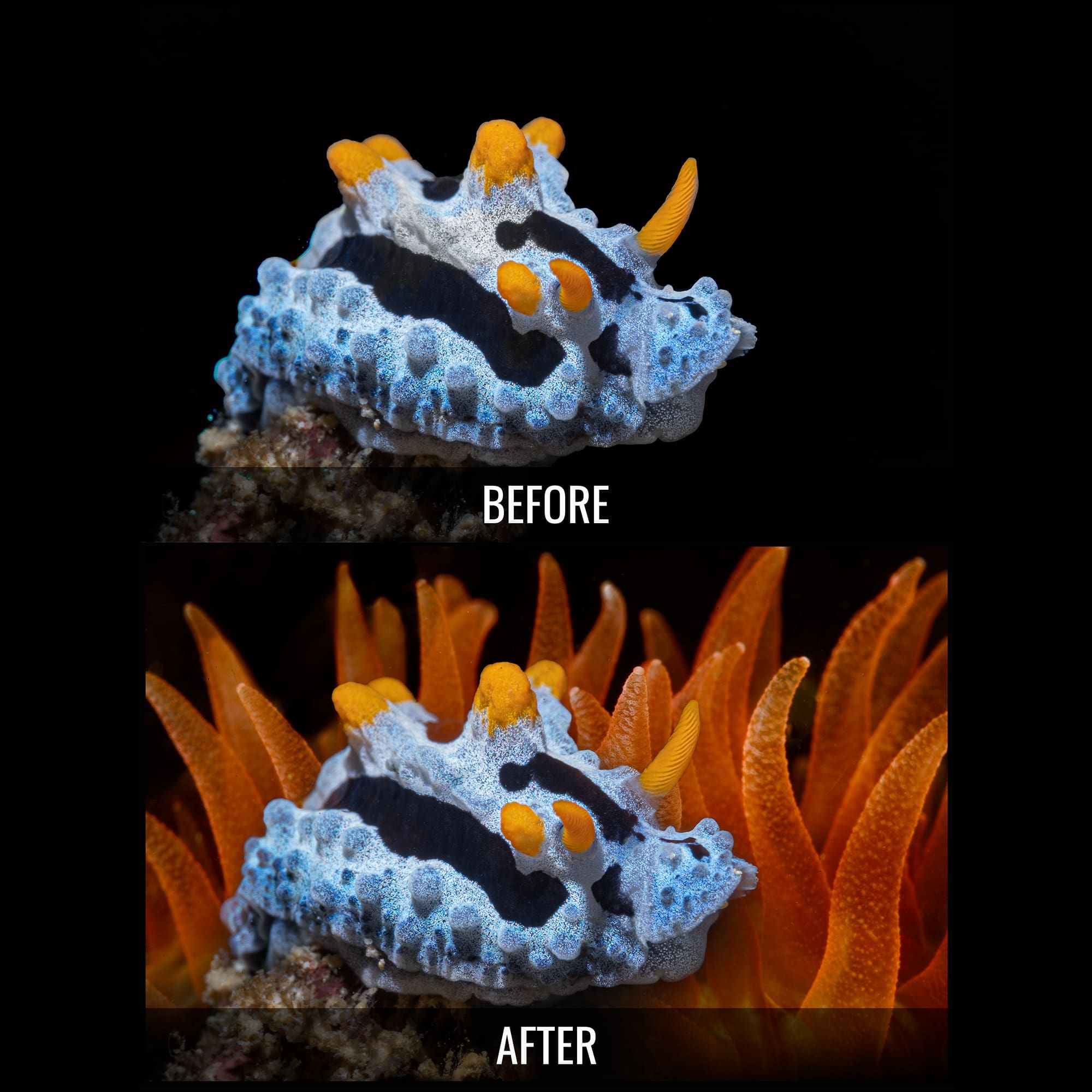 Water Replacement Starter Pack - Water Column Replacement Images for Photoshop - Image 4
