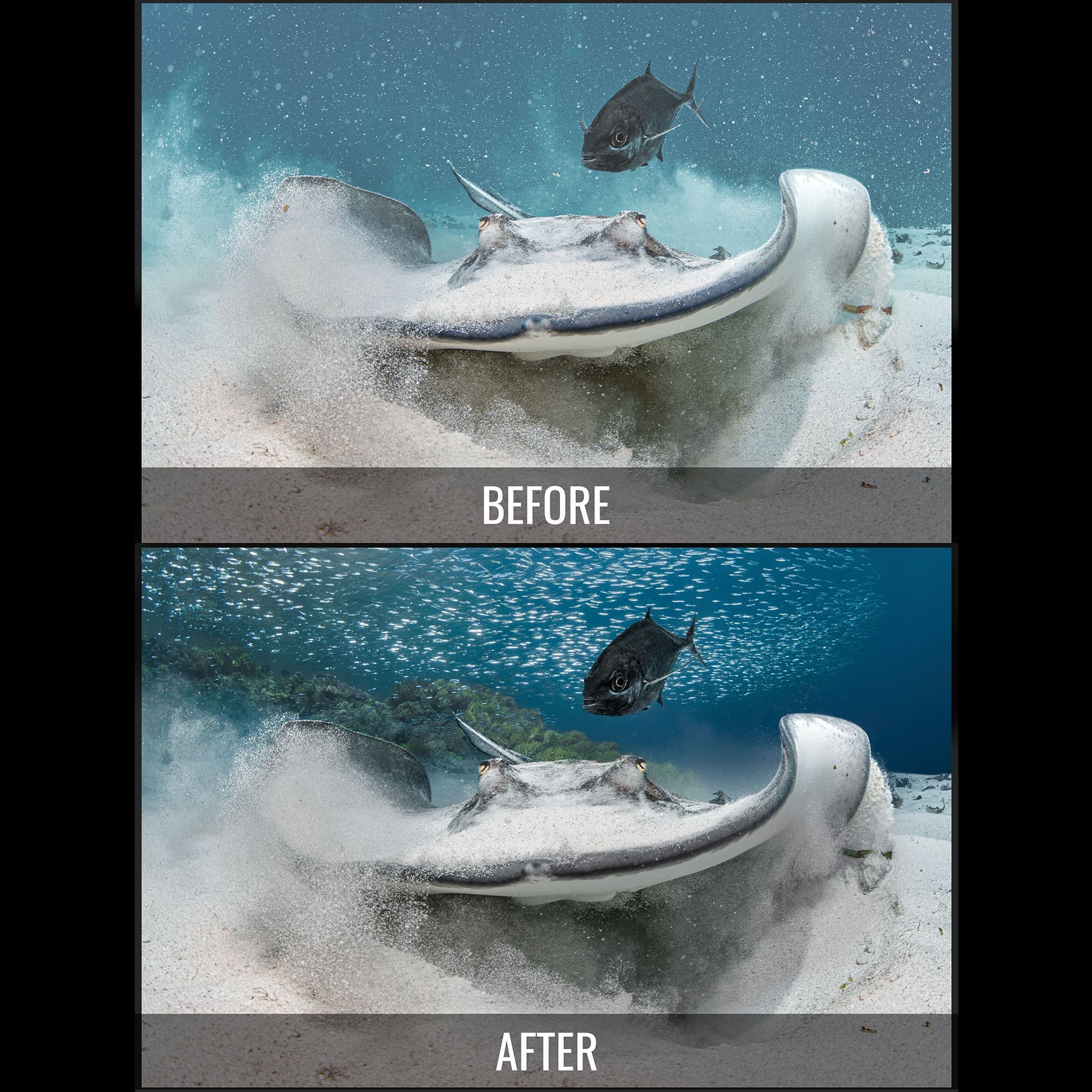 Water Replacement Starter Pack - Water Column Replacement Images for Photoshop - Image 3