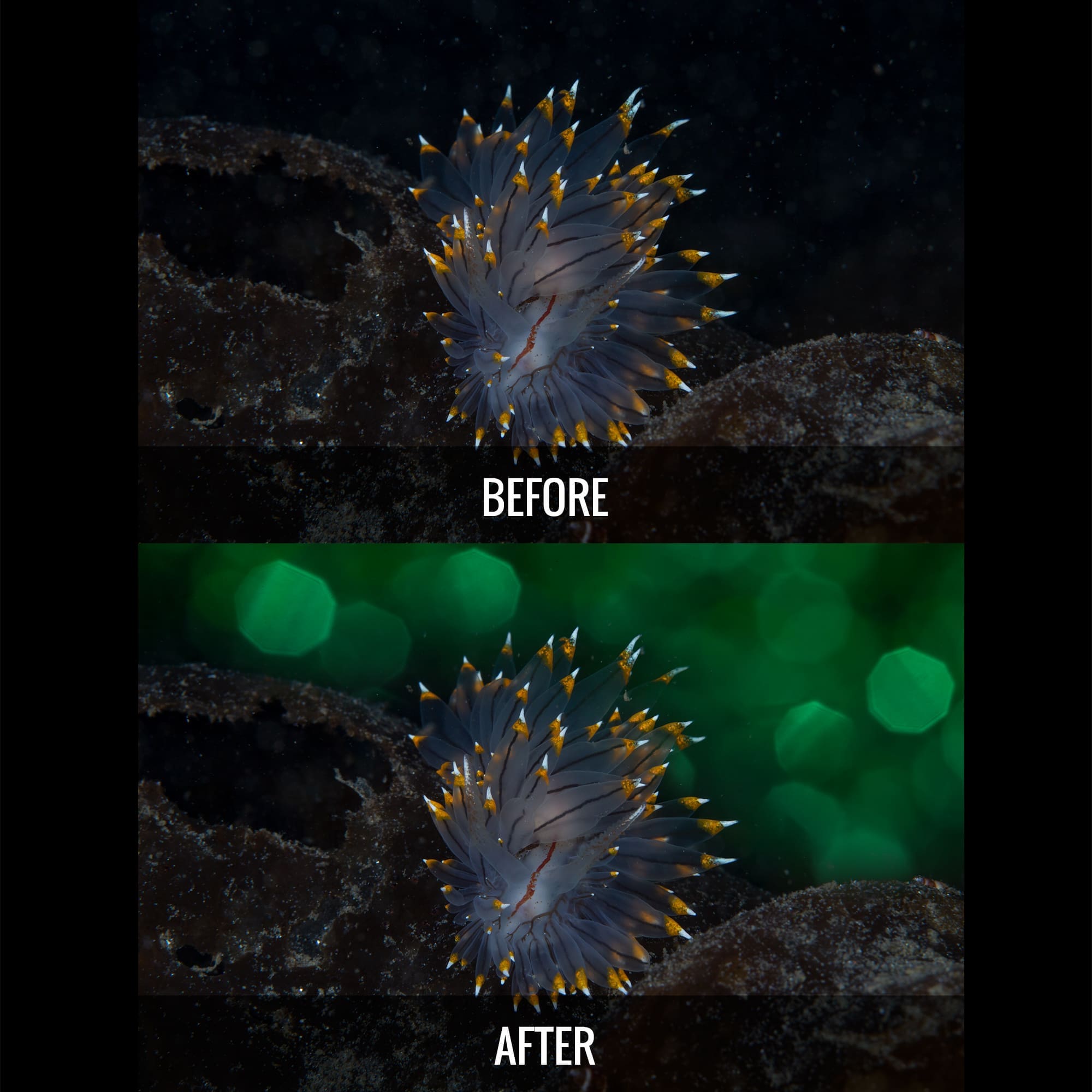 Water Replacement Starter Pack - Water Column Replacement Images for Photoshop - Image 8