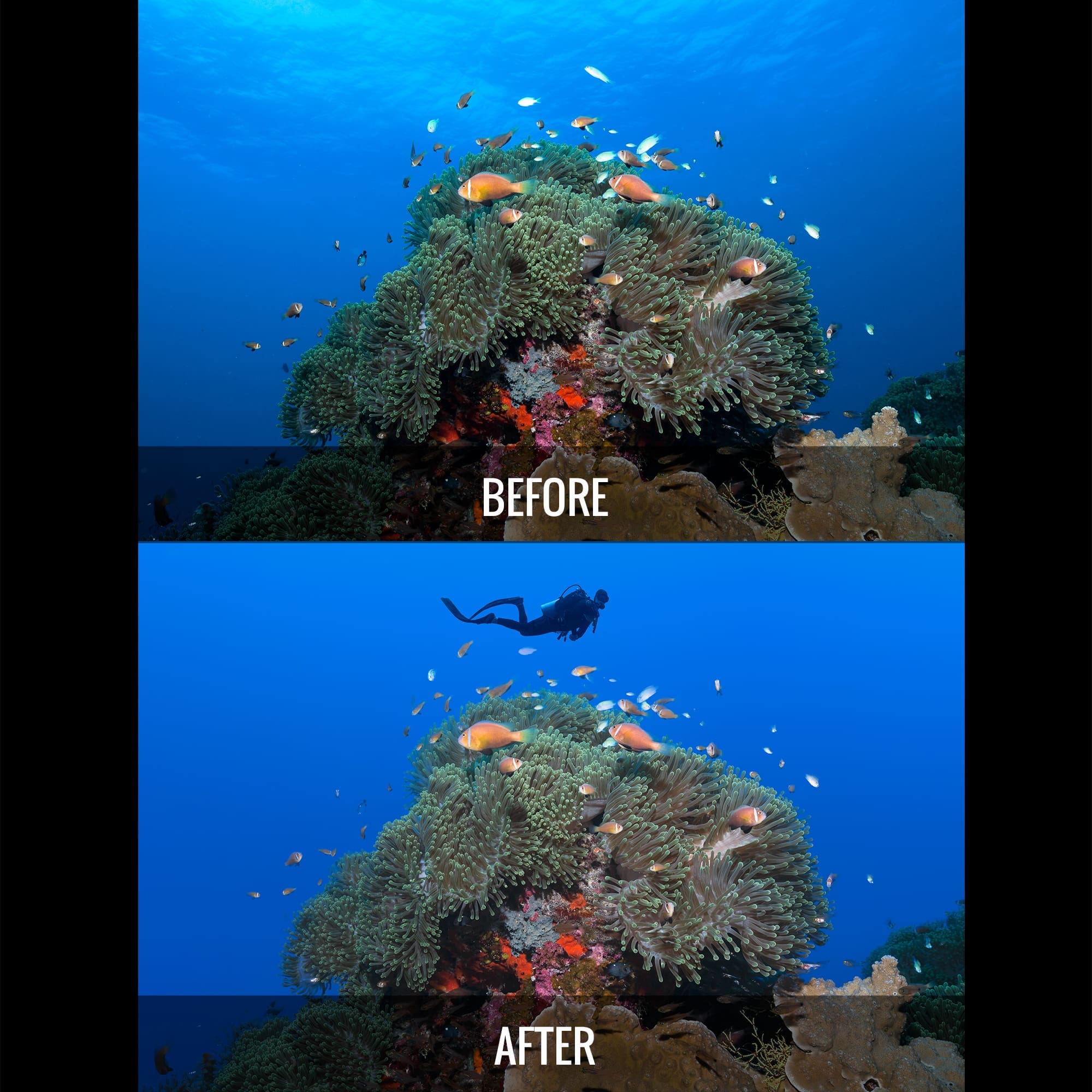 Water Replacement Starter Pack - Water Column Replacement Images for Photoshop - Image 9