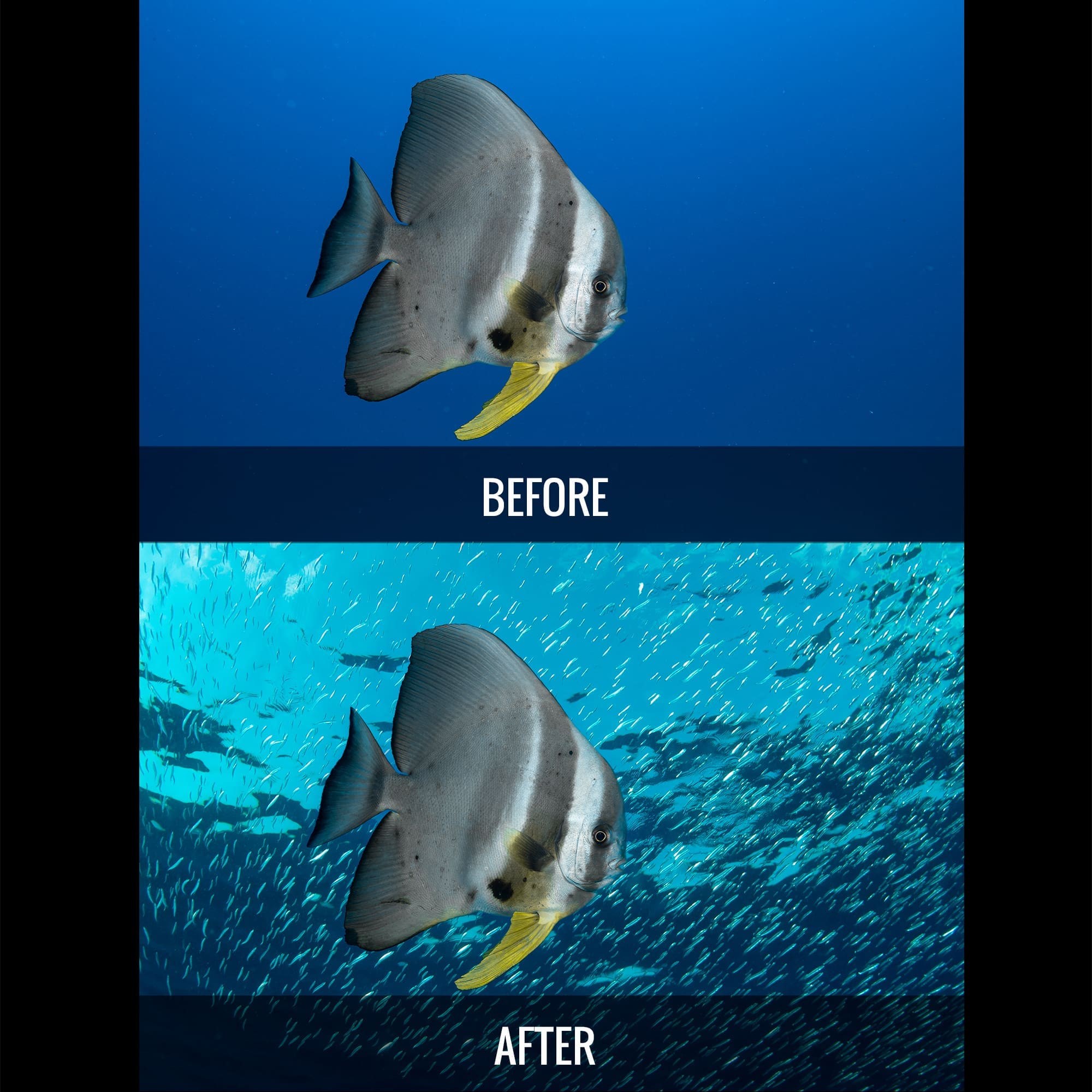 Water Replacement Starter Pack - Water Column Replacement Images for Photoshop - Image 10