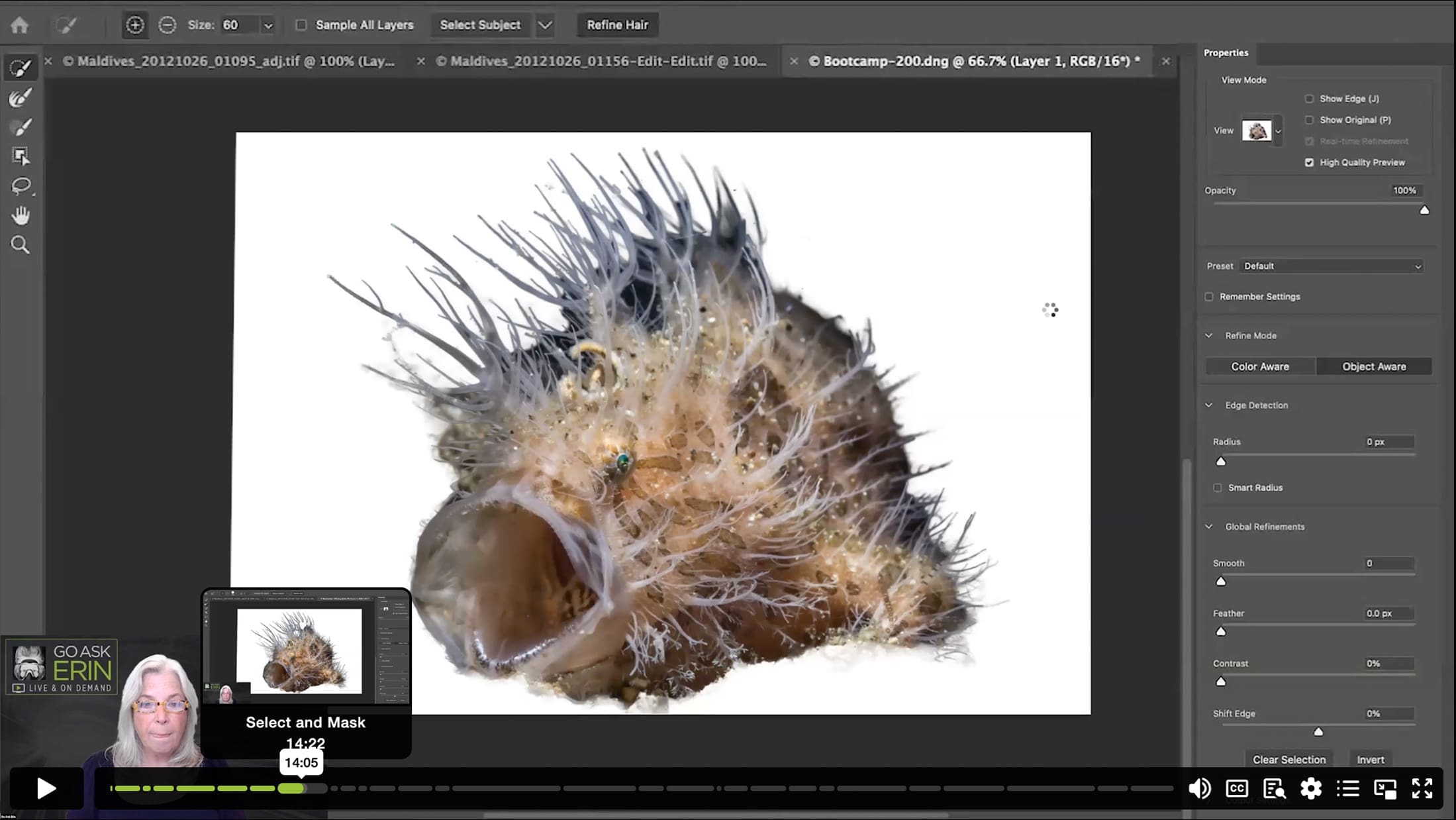 AI For Good and Evil in Photoshop - Part 2 - How to Edit Smarter Using AI Superpowers in Photoshop - Image 2